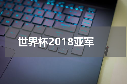 世界杯2018亚军