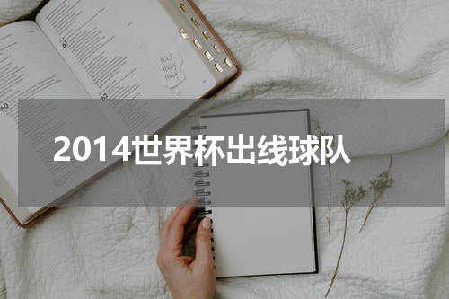 2014世界杯出线球队