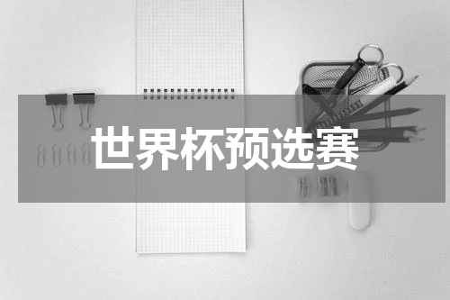 世界杯预选赛