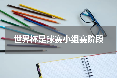 世界杯足球赛小组赛阶段