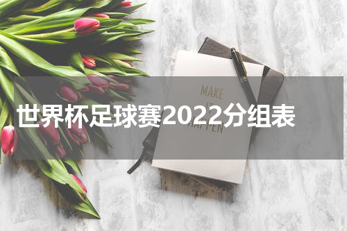 世界杯足球赛2022分组表