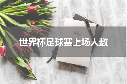 世界杯足球赛上场人数