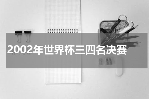 2002年世界杯三四名决赛