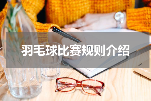 羽毛球比赛规则介绍