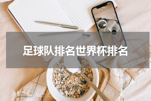 足球队排名世界杯排名
