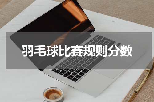 羽毛球比赛规则分数