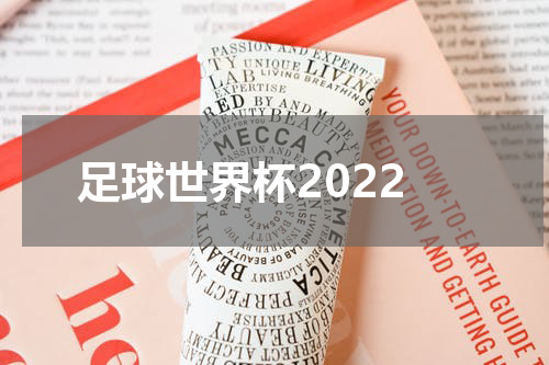足球世界杯2022