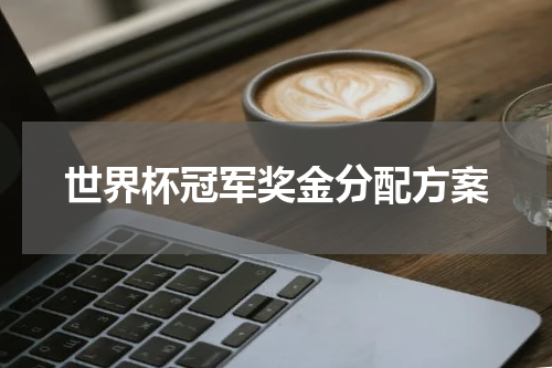世界杯冠军奖金分配方案