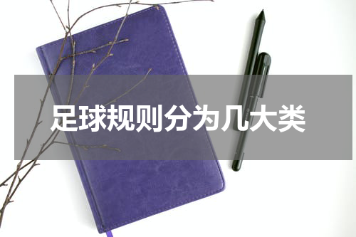 足球规则分为几大类