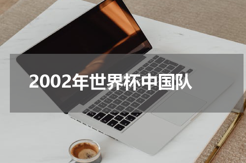 2002年世界杯中国队