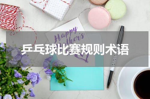 乒乓球比赛规则术语