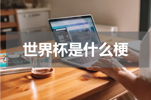 世界杯是什么梗
