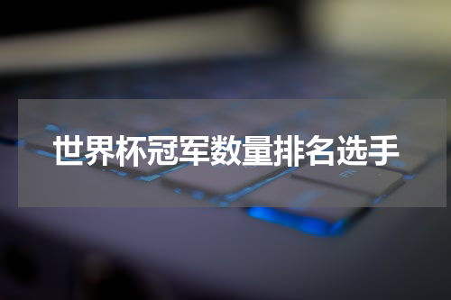 世界杯冠军数量排名选手