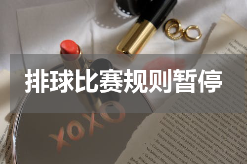 排球比赛规则暂停