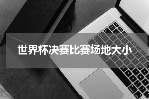 世界杯决赛比赛场地大小