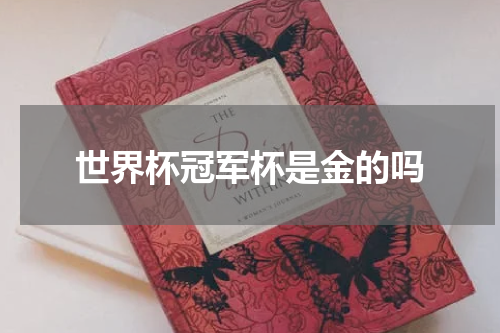 世界杯冠军杯是金的吗