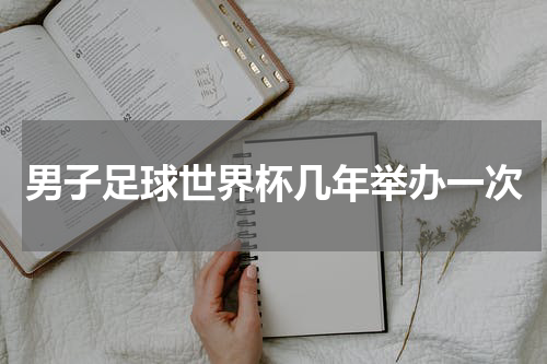男子足球世界杯几年举办一次