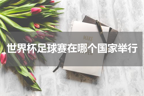 世界杯足球赛在哪个国家举行