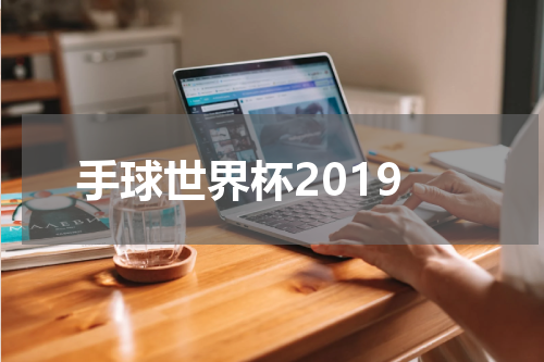 手球世界杯2019