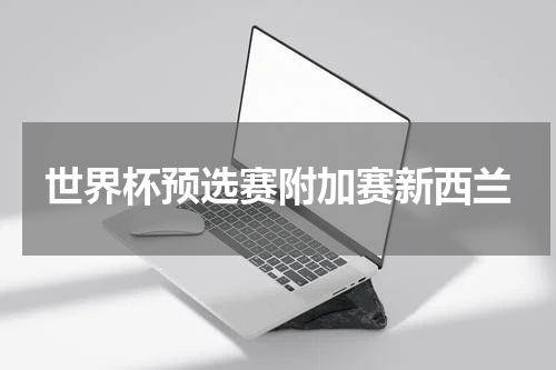 世界杯预选赛附加赛新西兰