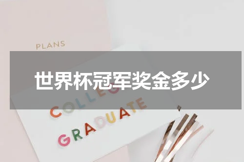 世界杯冠军奖金多少