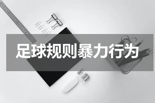 足球规则暴力行为