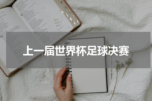 上一届世界杯足球决赛