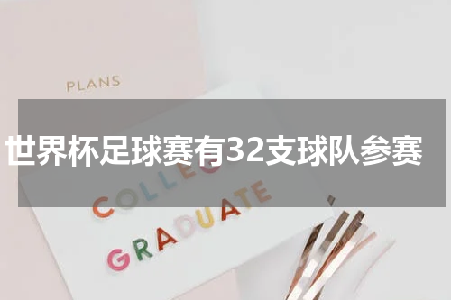 世界杯足球赛有32支球队参赛