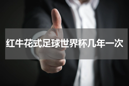 红牛花式足球世界杯几年一次