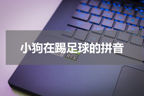 小狗在踢足球的拼音