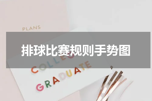 排球比赛规则手势图