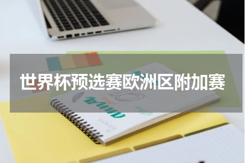 世界杯预选赛欧洲区附加赛