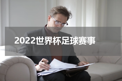 2022世界杯足球赛事