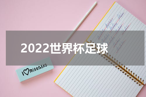 2022世界杯足球