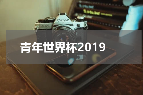 青年世界杯2019