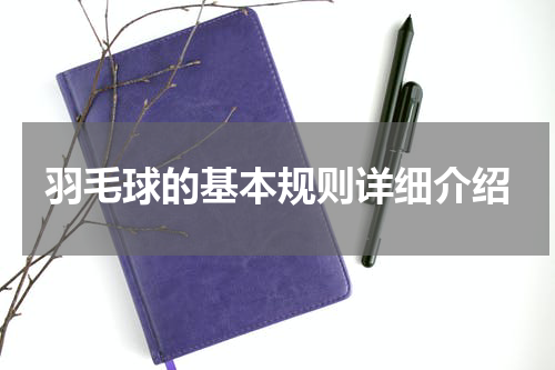 羽毛球的基本规则详细介绍