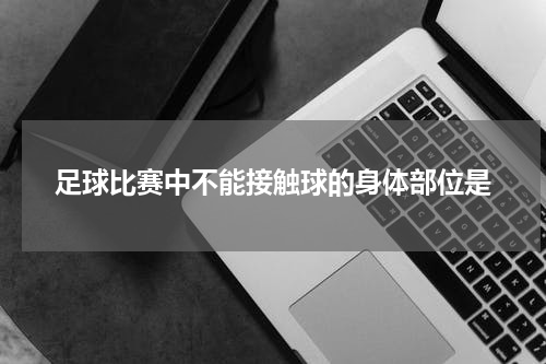 足球比赛中不能接触球的身体部位是