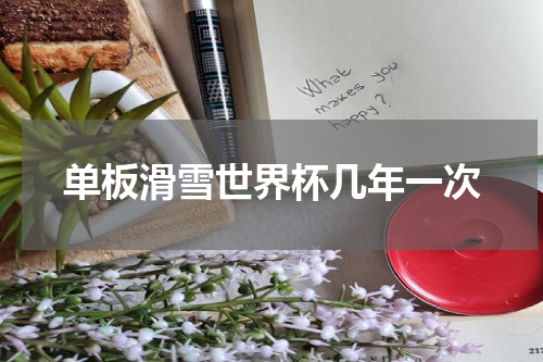 单板滑雪世界杯几年一次