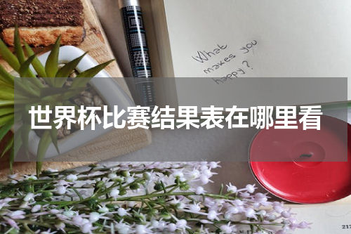 世界杯比赛结果表在哪里看
