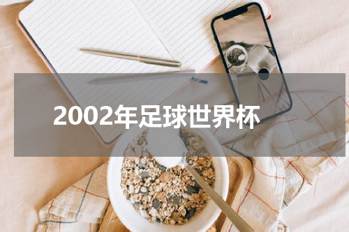 2002年足球世界杯
