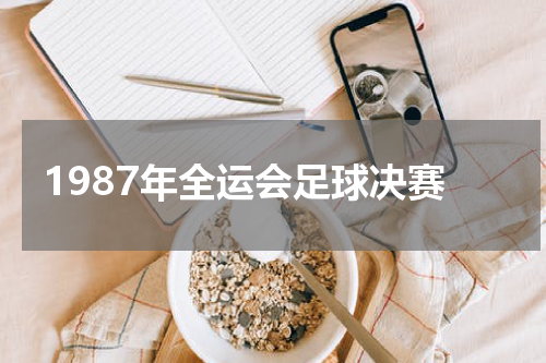 1987年全运会足球决赛