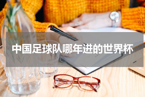 中国足球队哪年进的世界杯