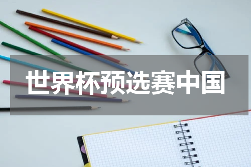 世界杯预选赛中国