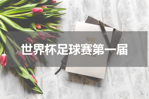 世界杯足球赛第一届