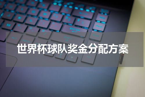 世界杯球队奖金分配方案