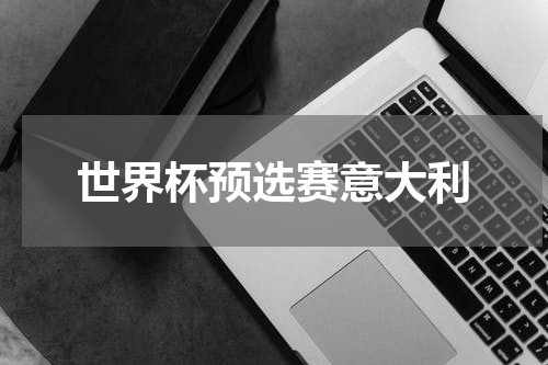 世界杯预选赛意大利