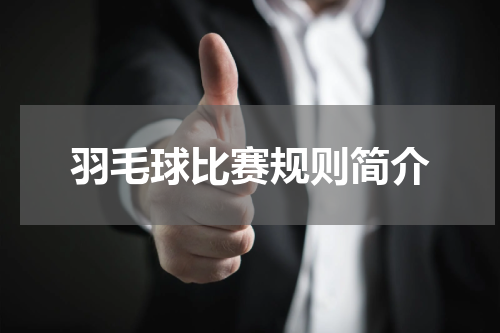羽毛球比赛规则简介