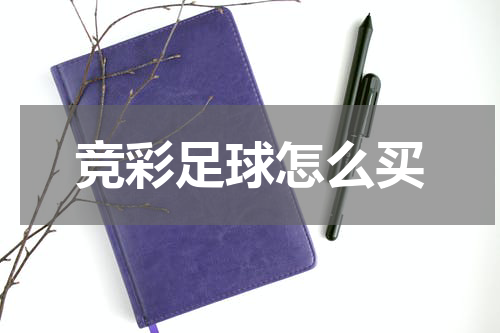 竞彩足球怎么买