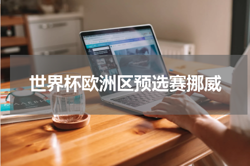世界杯欧洲区预选赛挪威
