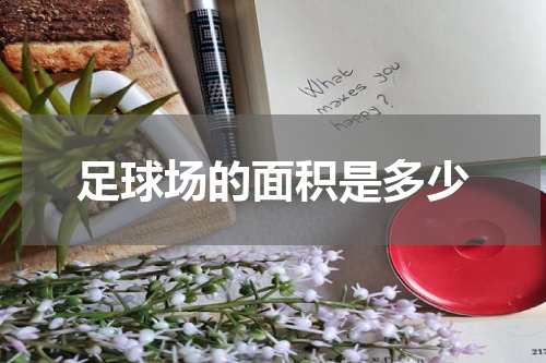 足球场的面积是多少